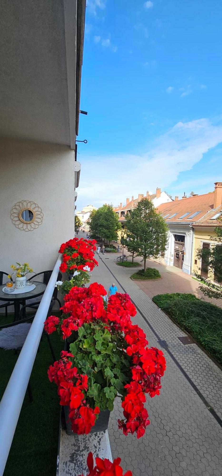 Anna Gyoengye Apartman Debrecen Exterior foto
